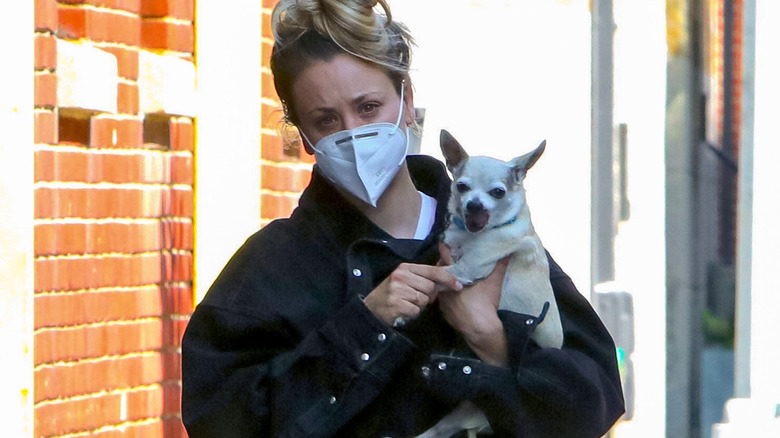 Kaley Cuoco walking while carrying a dog