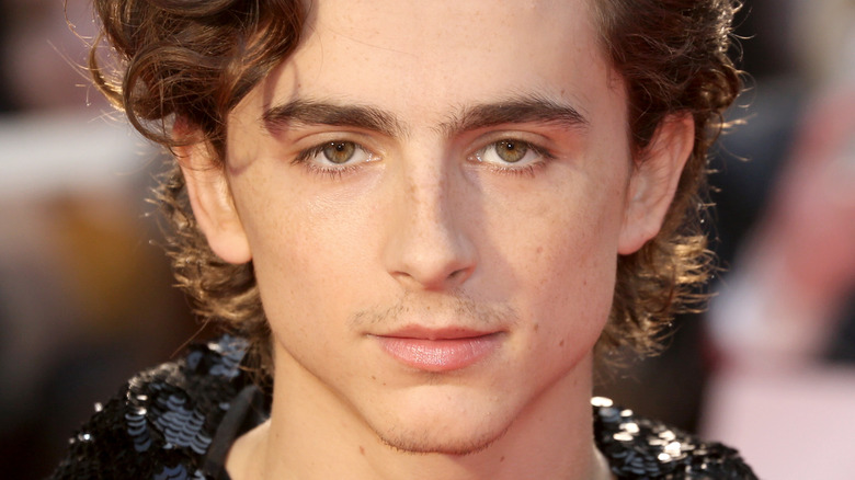 Chalamet poses on the red carpet