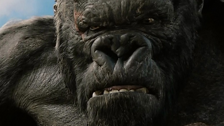 King Kong about to fight