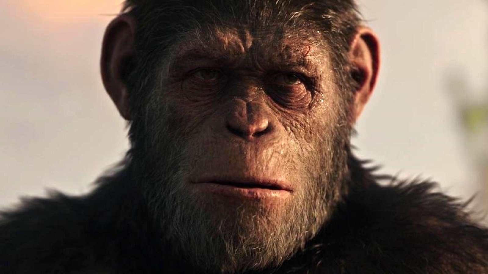 Kingdom Of The Of The Apes Release Date, Cast, Director, Plot