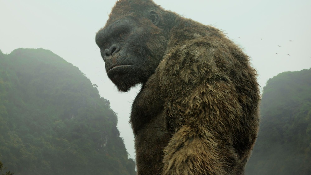 King Kong frowns