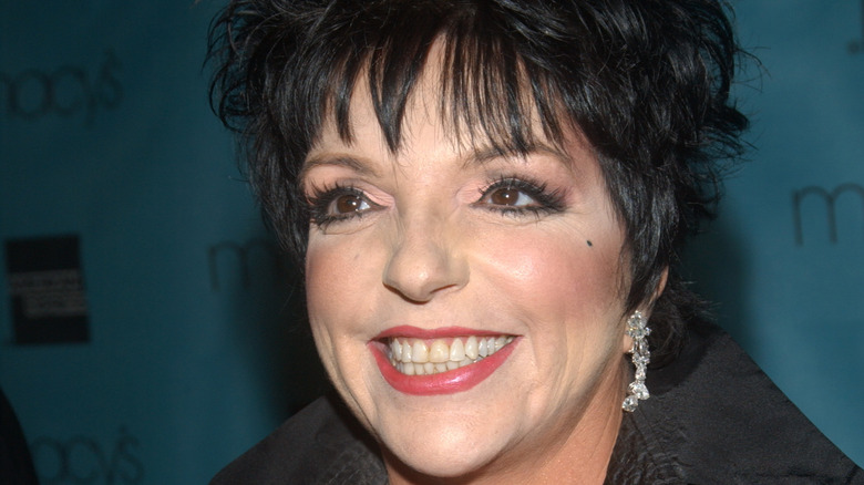 Liza Minnelli smiling at an event