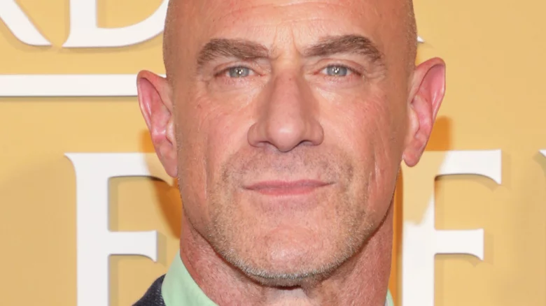 Law & Order: SVU's Christopher Meloni Spent His Time Away From The Show Getting His Pilots License