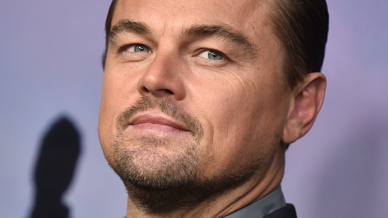 Leonardo DiCaprio smirking