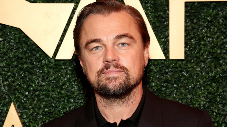 Leonardo DiCaprio smirking