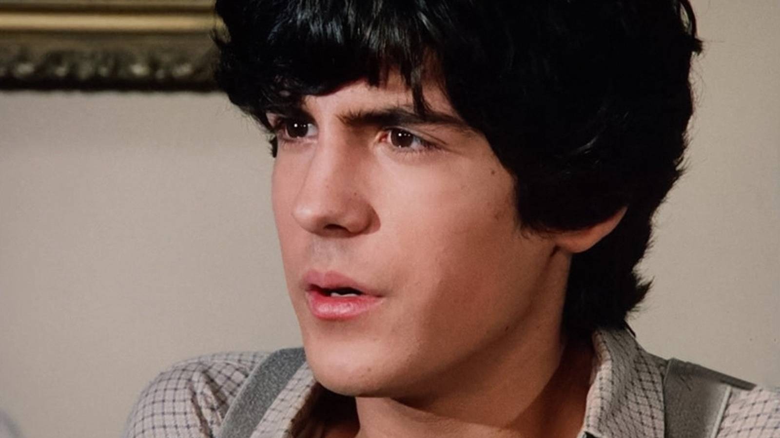 Little House On The Prairie Who Plays Albert & Where Did His Career