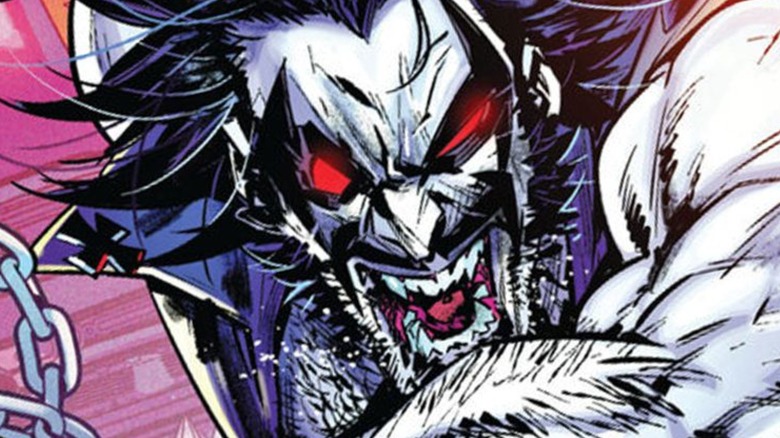 Lobo screams in close-up