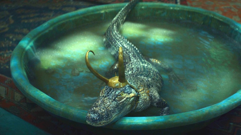 Alligator Loki in kiddie pool