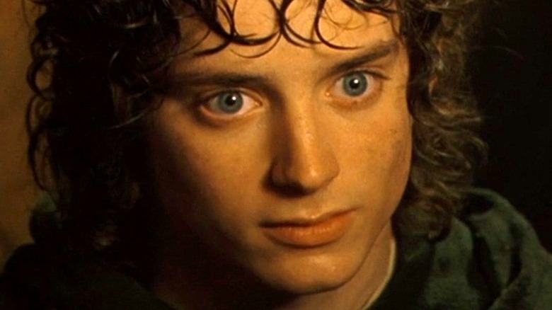 Elijah Wood as Frodo Baggins 