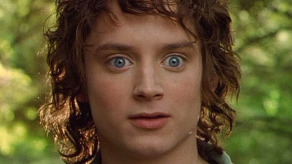 Frodo Lord Of The Rings