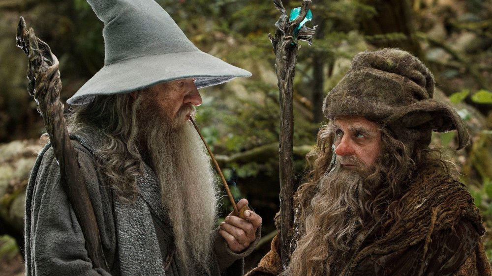 Gandalf the Grey and Radagast the Brown