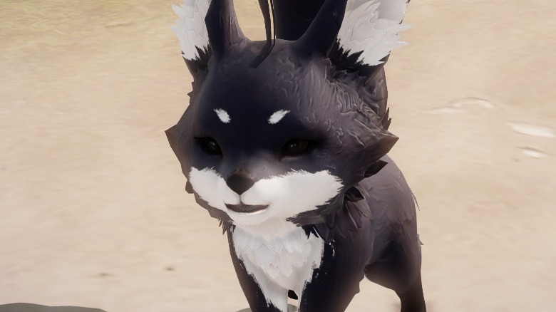 Lost Ark Saphia pet