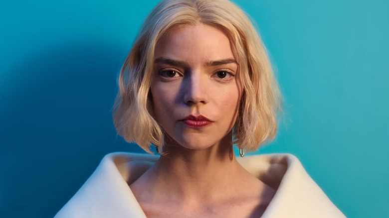 Lucky with a blue wall behind her (2026)