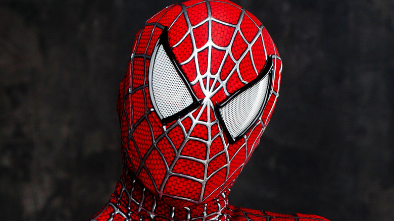 Spider-Man close up