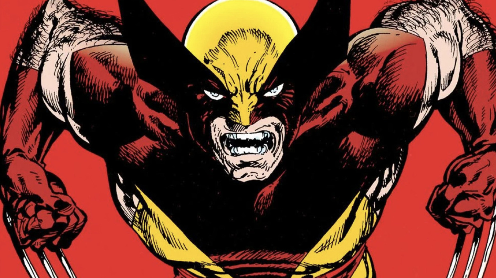 Wolverine Yearone Marvel Will Never Let Wolverine Do One Thing Again (It Isn't Murder Or Sex)