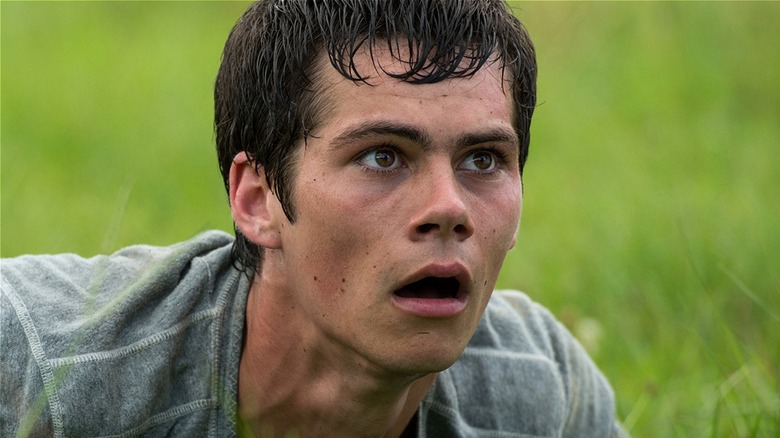 Thomas laying in the grass scared in The Maze Runner (2014)
