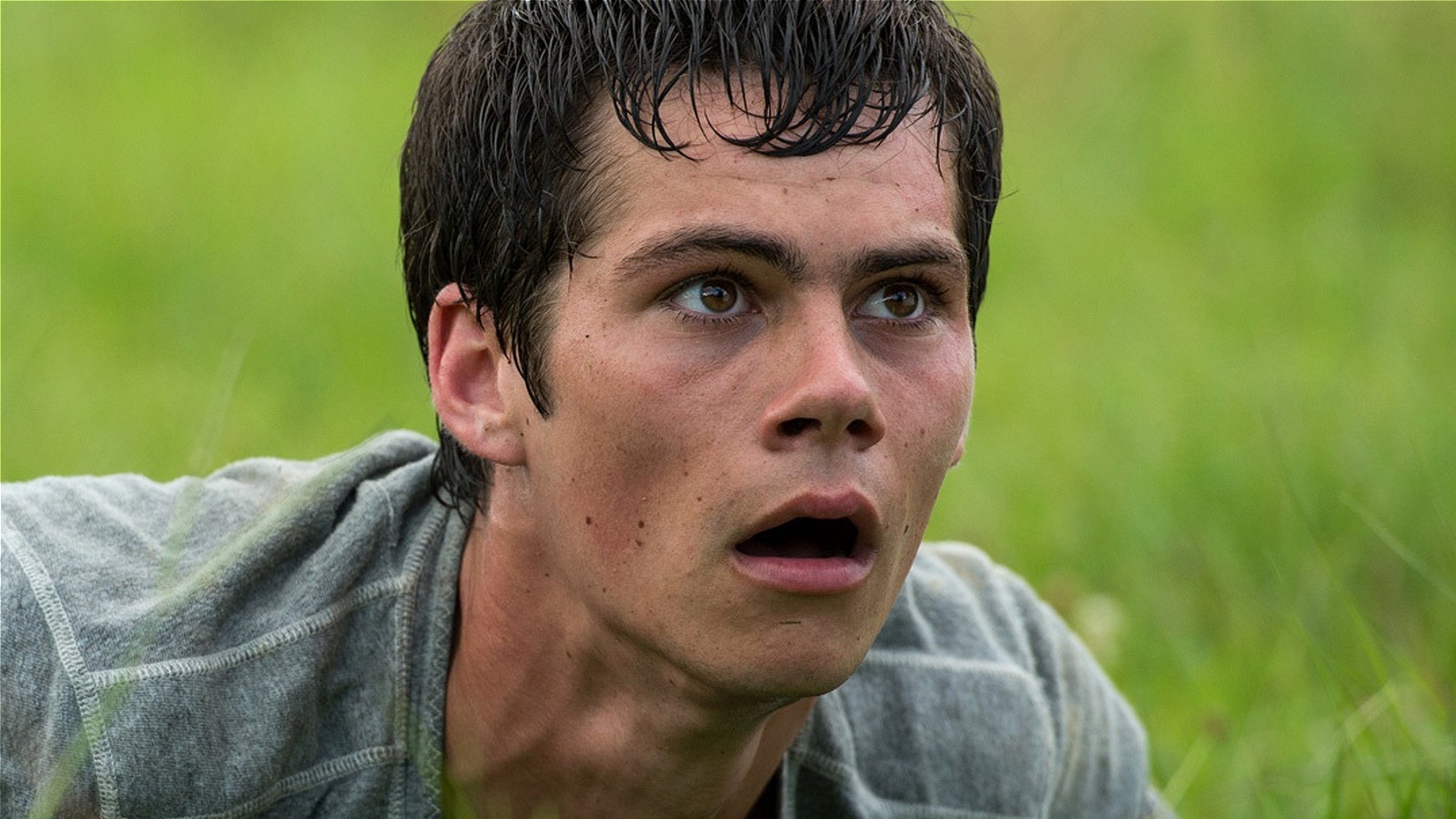 All 3 Maze Runner Movies, Ranked From Worst To Best