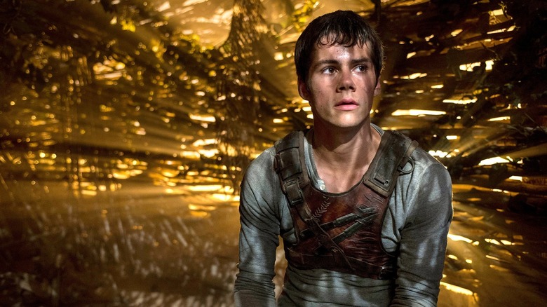 Thomas looking around dangerous yellow surroundings in The Maze Runner (2014)