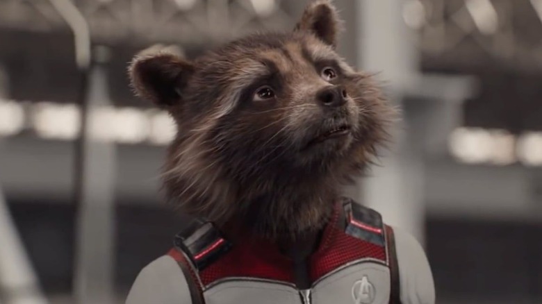 Rocket Racoon looking up