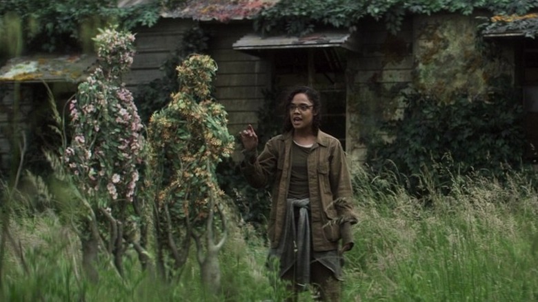 Josie examining two human-shaped plants her team discovered within the Shimmer
