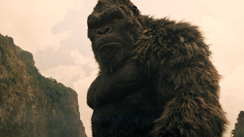 Kong looking serious on Monarch: Legacy of Monsters