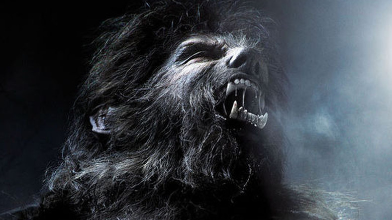 Benicio del Toro wolfs out