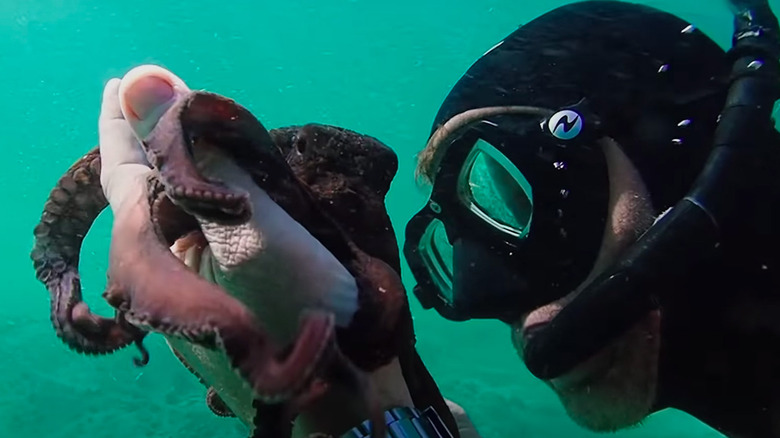 Craig Foster clutching his octopus pal in My Octopus Teacher (2020)