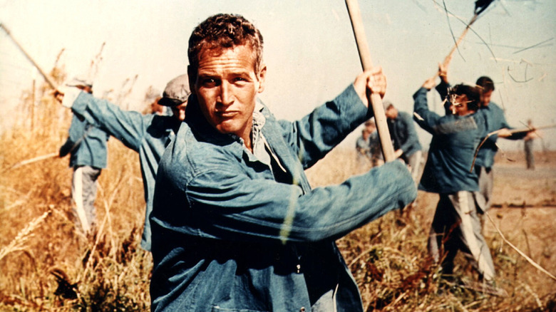Luke Jackson working in a field