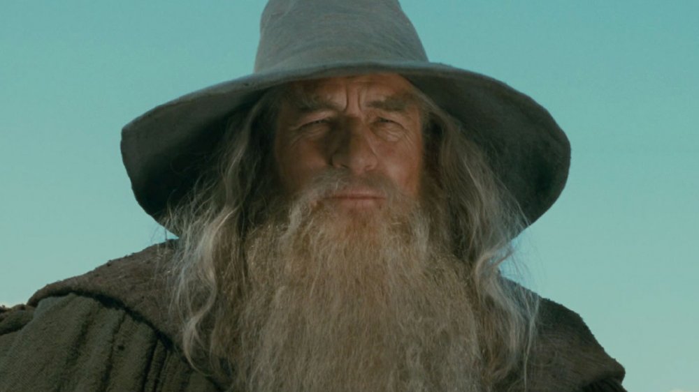 Ian McKellen as Gandalf in The Lord of the Rings: The Fellowship of the Ring