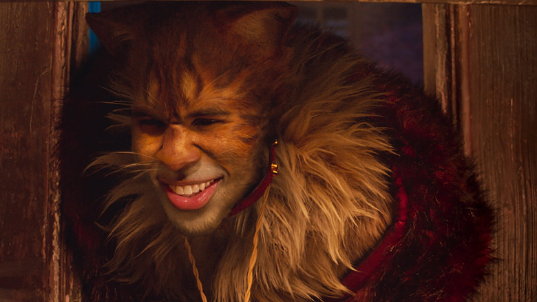 The Rum Tum Tugger smiling