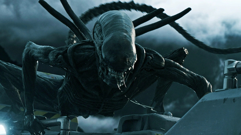 A Xenomorph hunting down its next victim