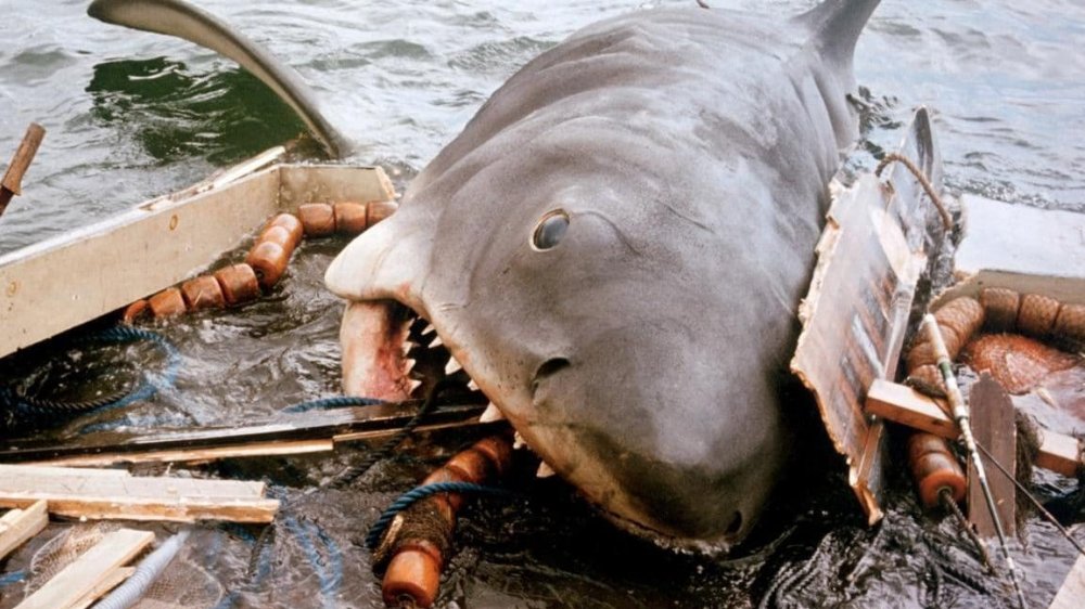 Jaws