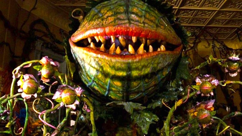 Little Shop of Horrors