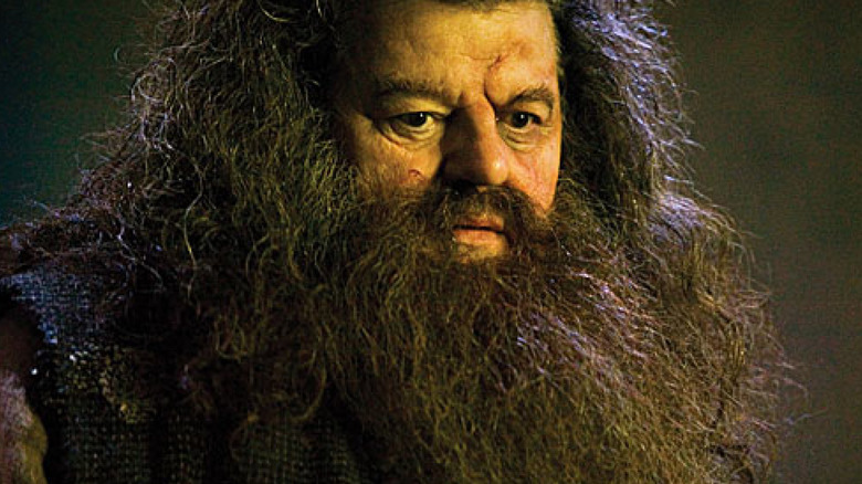 Rubeus Hagrid