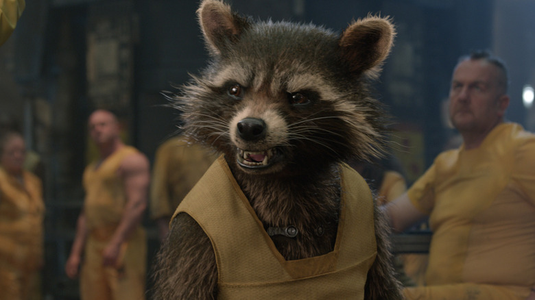 Rocket Raccoon angry