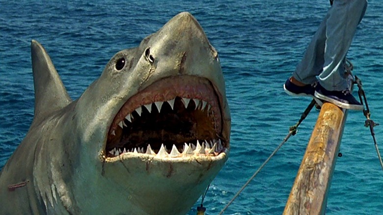 Jaws 4 shark attack