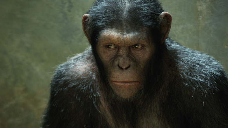 Caesar in Planet of the Apes