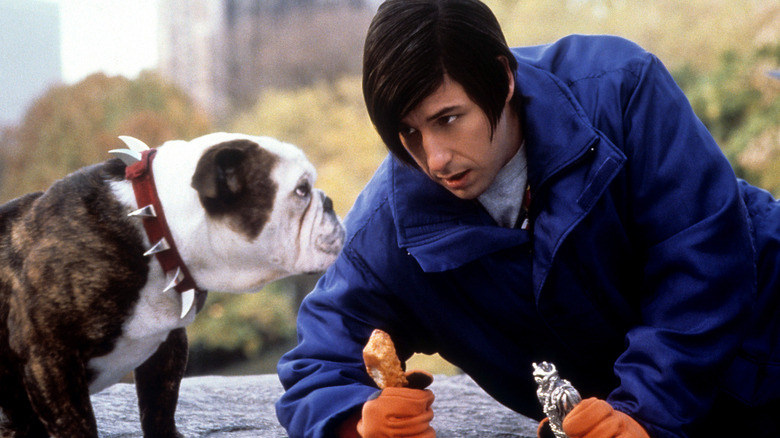 Nicky talks to dog