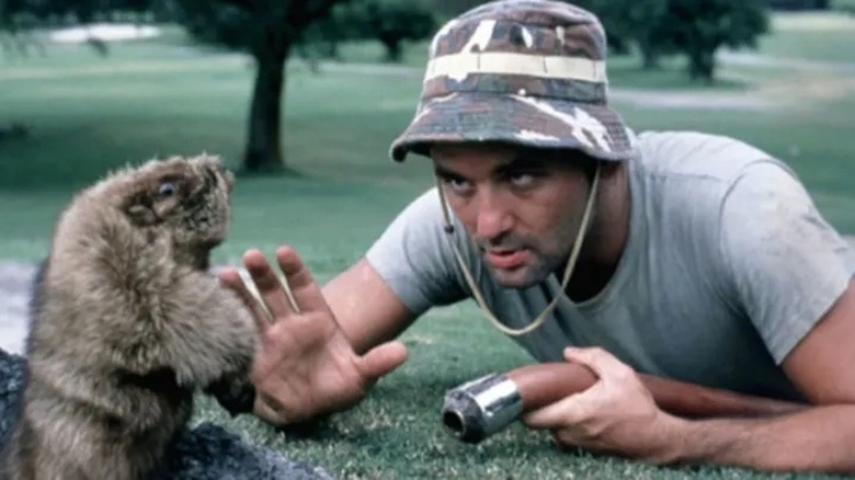 Spackler crouches down to talk to a gopher in Caddyshack (1980)