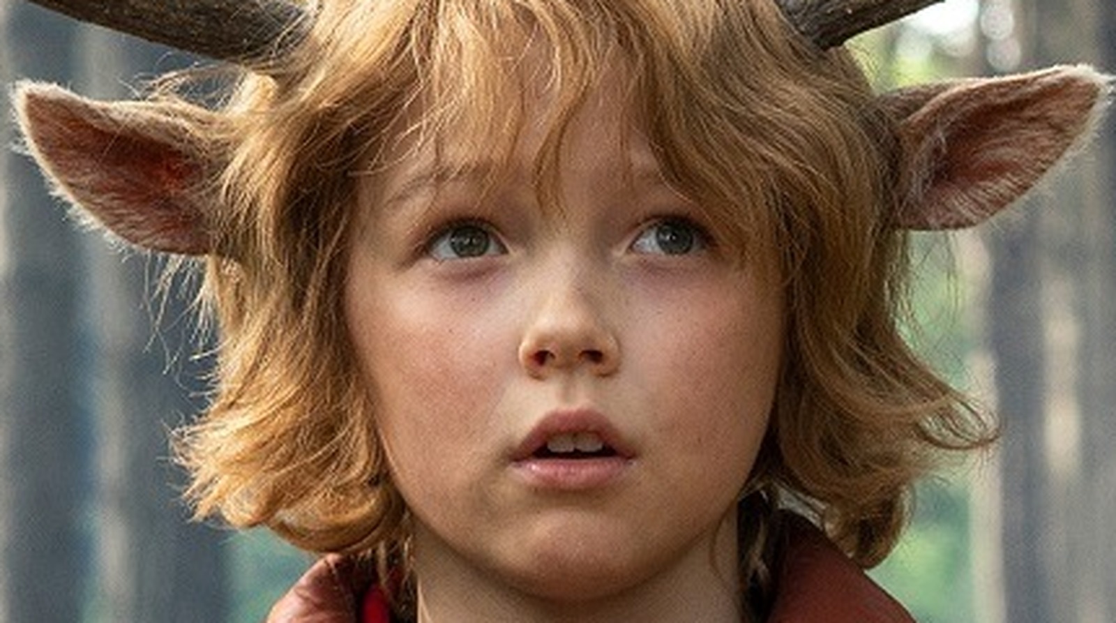 Movies To Watch If You Love Sweet Tooth