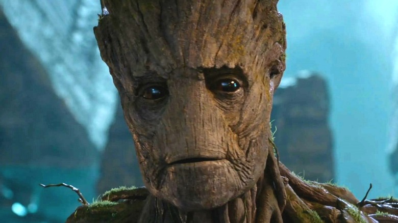 Groot sad 