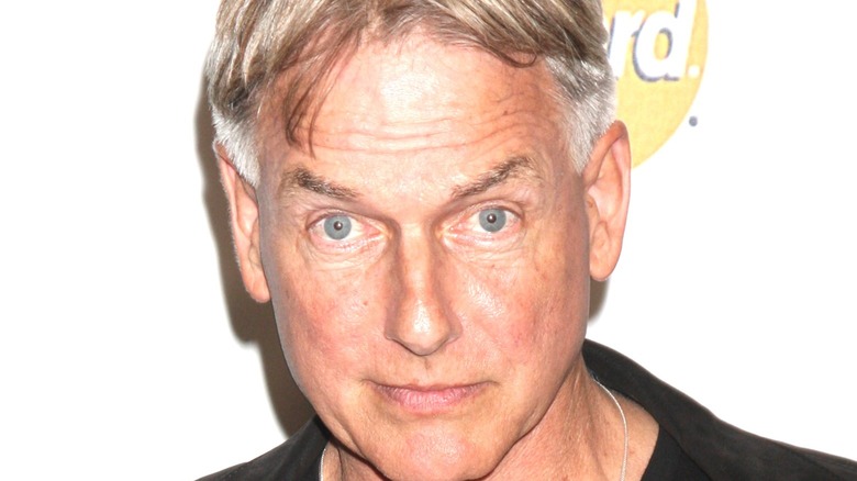 Mark Harmon looks 