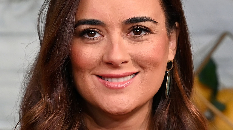 Cote de Pablo smiling