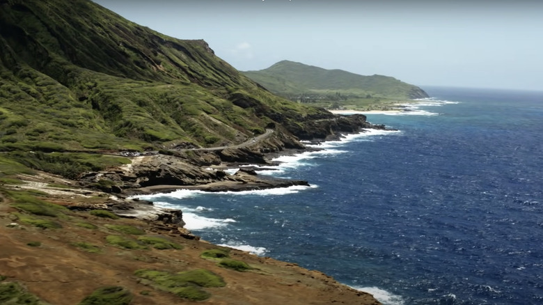 NCIS Hawaii Idol