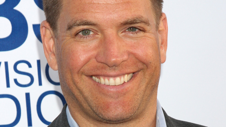 Michael Weatherly smiling