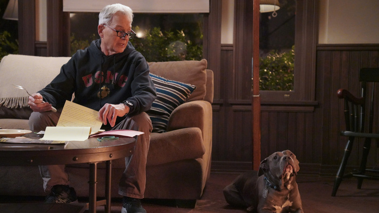 Gibbs looking at dog