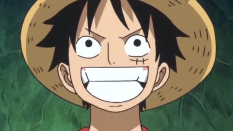 Luffy looks at camera
