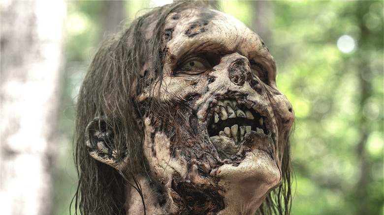 walker zombie dead teeth face hair eyes nose