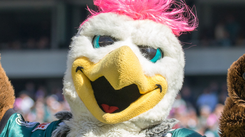 A closeup of Swoop, the mascot for the Philadelphia Eagles