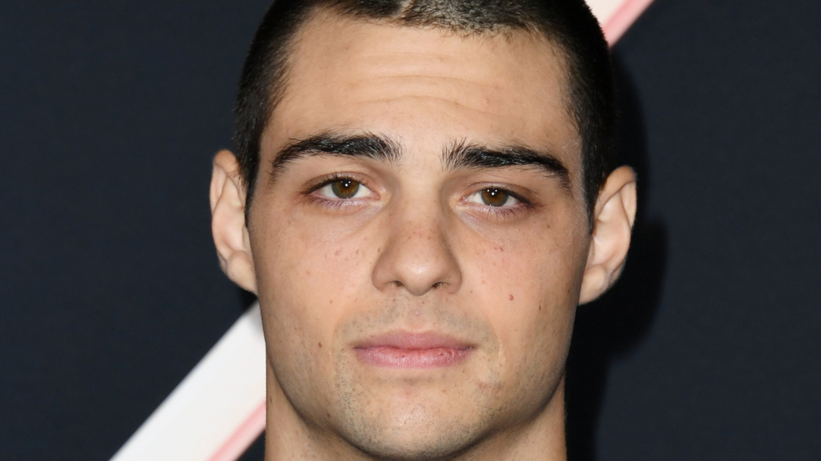masters of the universe noah centineo